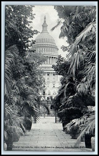 Washington Dc Postcard - Dome Of The Capitol From Botanical Gardens (e1)