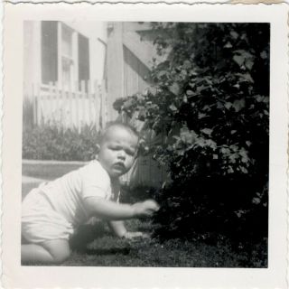 Adorable Cute Baby Crawling In Yard Playing Vintage Photo Circa 1950 