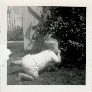 Adorable Cute Baby Crawling Playing Outside In Yard Vintage Photo Circa 1950 