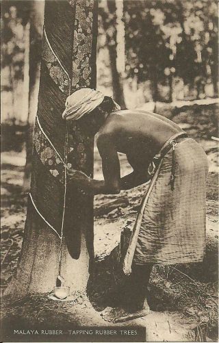Malaya - Tapping Rubber Trees (sepia Printed Postcard) C1930