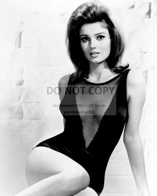 Pamela Tiffin In The 1966 Film " Harper " Pin Up - 8x10 Publicity Photo (dd - 015)