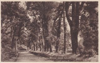 Nevin - Pwllheli Road Throught Bodfaen Woods By Valentine 