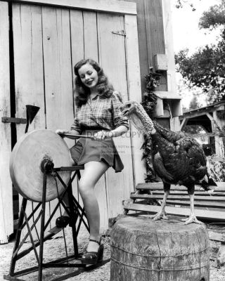 Actress Jeanne Crain With Turkey,  Axe And Blade Sharpener - 8x10 Photo (az632)