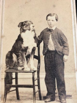 Cdv Photo,  Watkins Ny Sad Blind Boy,  Seated Dog Pet,  Civil War Tax Revenue Stamp