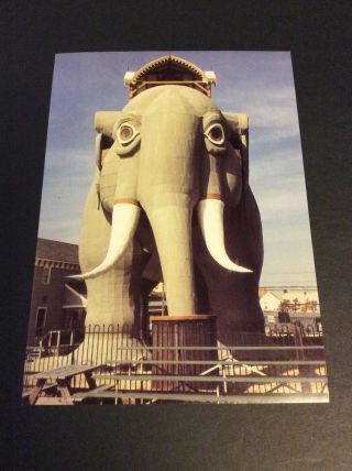 Lucy The Elephant Margate,  Jersey Jumbo Postcard 2002