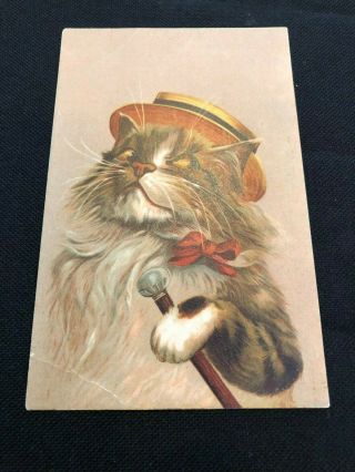 Maurice Boulanger Post Card,  Cat Wearing A Hat And Walking With A Walking Stick