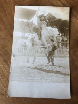 Cowgirl Dorothy Morrell Horse Rider On Pinto Pete 1926 Frontier Days Cheyenne Pc