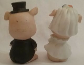 Anthropomorphic PIGS Bride & Groom vintage Salt and Pepper Shakers 2