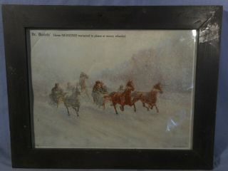 Antique Dr Daniels Horse Veterinary Medicine Framed Ad Print Copyright 1894