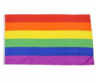 10 X Flag 3 Feet By 5 Ft Gay Pride Lesbian Lgbt Flag With Grommets