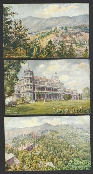 India Simla Vintage Tuck’s Oilette Postcards (6)