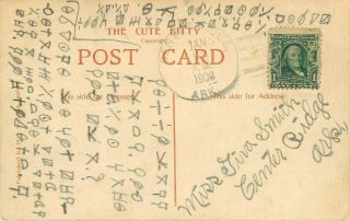 Secret Coded Message On The Back Of Cat Postcard.  1908 Postmark