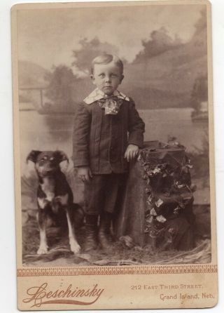 1890s Cabinet Photo Of Adorable Boy And His Dog Grand Island Nebraska