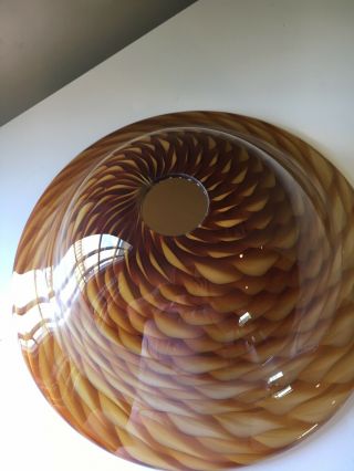 Hand Blown Glass Floor lamp Shade Heavy Thick Glass brown amber Shell pattern 4