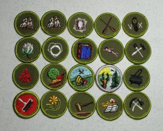 20 Bsa Boy Scout Merit Badges - 19 Different Ones (set E)
