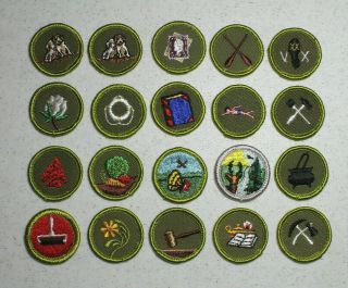 20 BSA Boy Scout Merit Badges - 19 different ones (Set E) 4