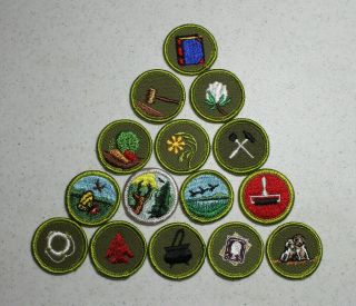 15 Different Boy Scout Merit Badges - Most Type F (set A)