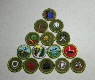 15 Different Boy Scout Merit Badges - most type F (Set A) 2