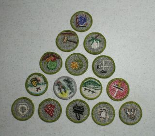 15 Different Boy Scout Merit Badges - most type F (Set A) 3