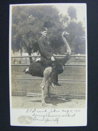 Los Angeles Ca Dp Grant El Riad Shriner Riding Ostrich Rppc Postcard 1912