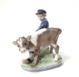 Porcelain Figurine Boy With Calf.  Denmark,  Royal Copenhagen 772.