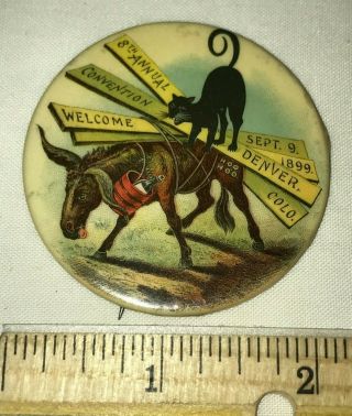 Antique 1899 Denver Co 8th Convention Celluloid Pinback Button Black Cat Donkey
