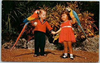 Vintage 1950s Miami Florida Postcard Parrot Jungle Boy & Girl W/ Parrots