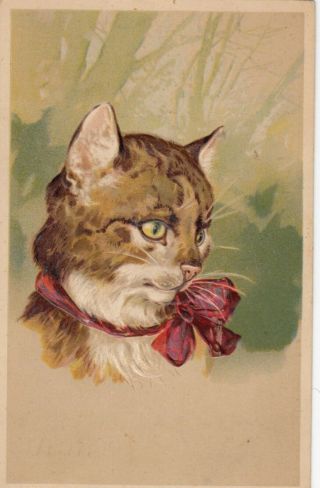 Pfb Serie 5951 ; Pensive Brown & White Cat With Red Bow,  Pu - 1909