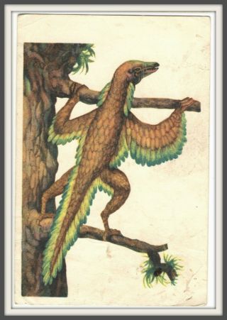 1969 Dinosaur Pterosaur Flying Animals Paleontology Art Soviet Vintage Postcard