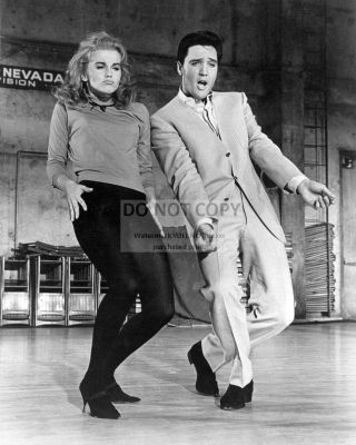 Elvis Presley And Ann - Margret In " Viva Las Vegas " - 8x10 Publicity Photo (ab950)