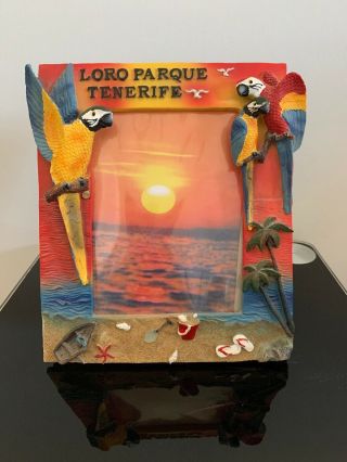 Loro Parque Tenerife Parrot And Beach Sunset Photo Picture Frame