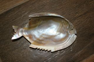 Vintage Sea Clam Shell Seashell Carved Into Fish Nut Candy Or Trinket Dish Tray