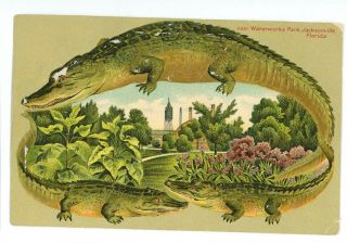 Waterworks Park Jacksonville Fl Florida Alligator Border Langsdorf Postcard
