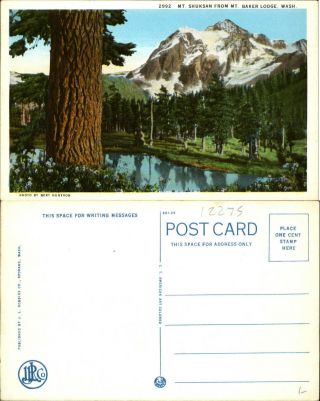 Mt Shuksan From Mt Baker Lodge Washington By Bert Huntoon 1920s Postcard