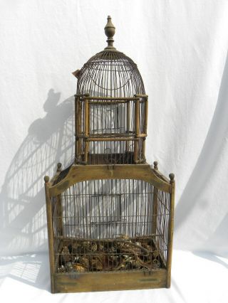 Antique Victorian Wood and Wire Bird Cage with 2 Spring - Loaded Doors 32 1/2 