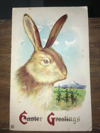 Antique 1916 Stecher Postcard Large Brown Bunny Rabbit Embossed Easter Greetings