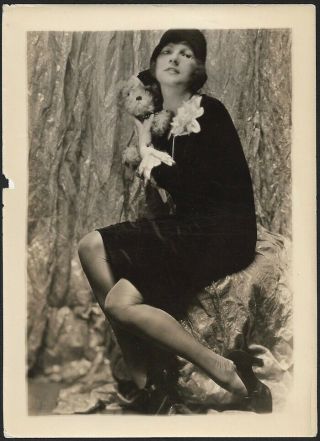 1920s Silent Film Star Norma Talmadge Charles Sheldon Photograph W/ Steiff Dog