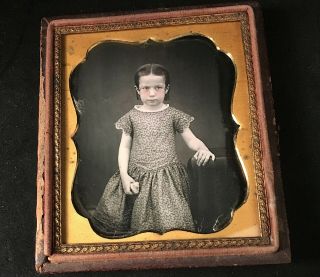 1/6 Plate Daguerreotype Of Young Girl Holding Toy Lamb,  Sharp Focus,  No Wipes