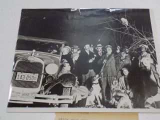 1930 Press Photo: Ga Governor Fdr Franklin D Roosevelt Trees Possum