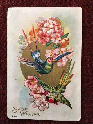 1909 Embossed Postcard Best Wishes - 2 Hummingbirds,  Gold Emphasis