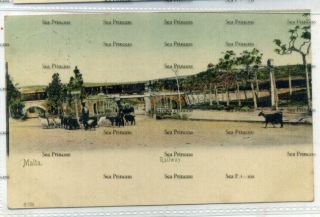 Malta Postcard Railway 1900s Undivided Back Stamp Removed