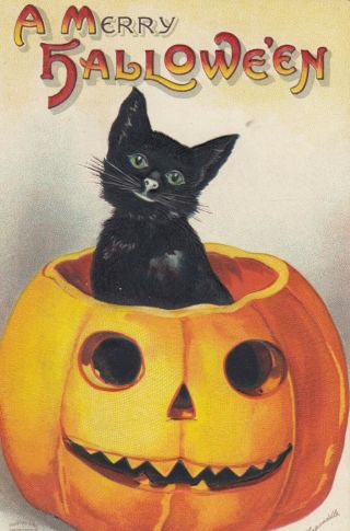 Ellen Clapsaddle ; Halloween,  1900 - 10s ; Black Cat In A Jack O 
