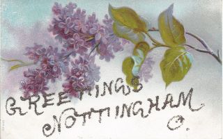 Greetings From Nottingham Ohio Novelty Large Letter Glitter Violet Flowers C1910