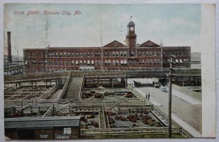 Kansas City Stock Yards Frisco Missouri 1907 Postcard (f010gsm)