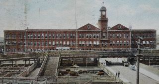 Kansas City Stock Yards Frisco Missouri 1907 Postcard (f010gsm) 2