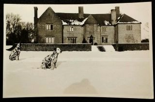 Rppc Welwyn Uk Postcard Early 1900s Rare Bride Hall Dalmatian Dogs Snow Herts