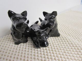 Vintage Goebel Black Scottish Terrier Dogs 30572 Figurine W.  Germany 2.  5 " Tall