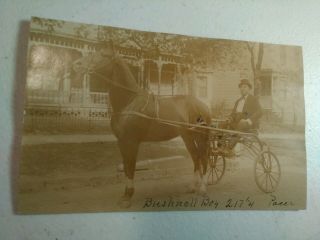 Old Real Photo Postcard Named Pacer Horse And Rider Peoria Illinois