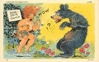 Bear Comic Humor 1940s Walters Nudist Camp Teich Linen Postcard 8809