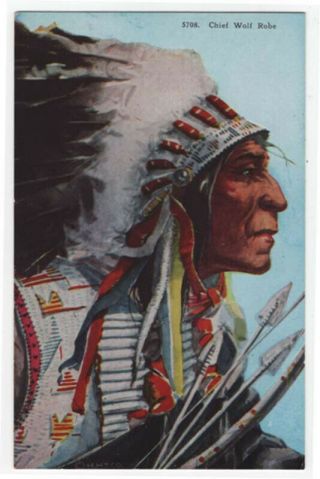 Vintage Native American Postcard,  Chief Wolf Robe